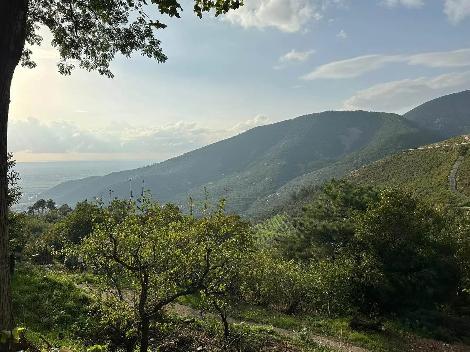 Vista sul Monte Pisano